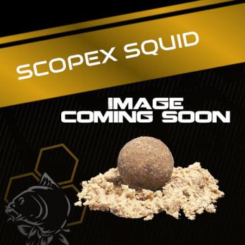 Nash Scopex Squid Wafters 15mm